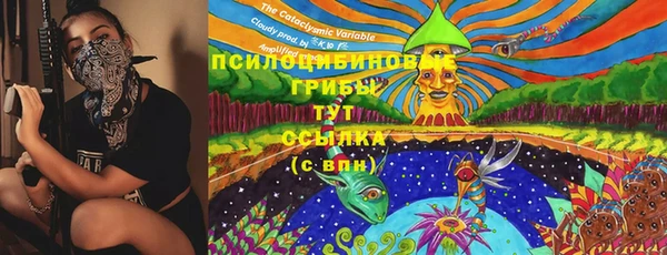 ешки Краснотурьинск