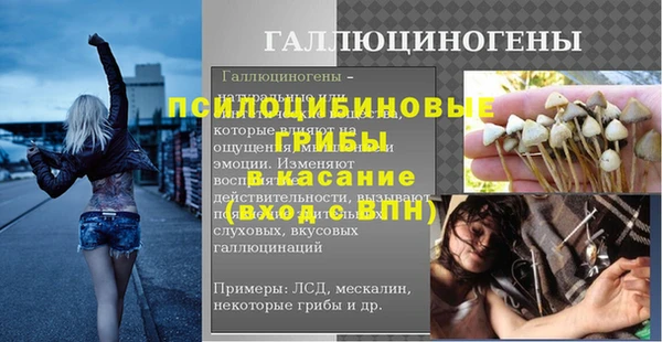 прущий лед Корсаков