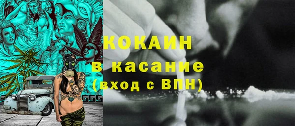гашик Краснослободск