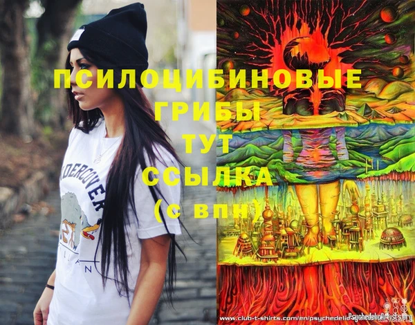 гашик Краснослободск