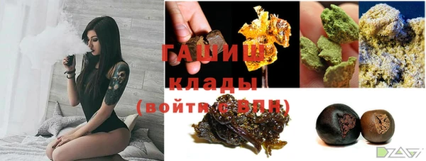 гашик Краснослободск