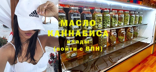 гашик Краснослободск